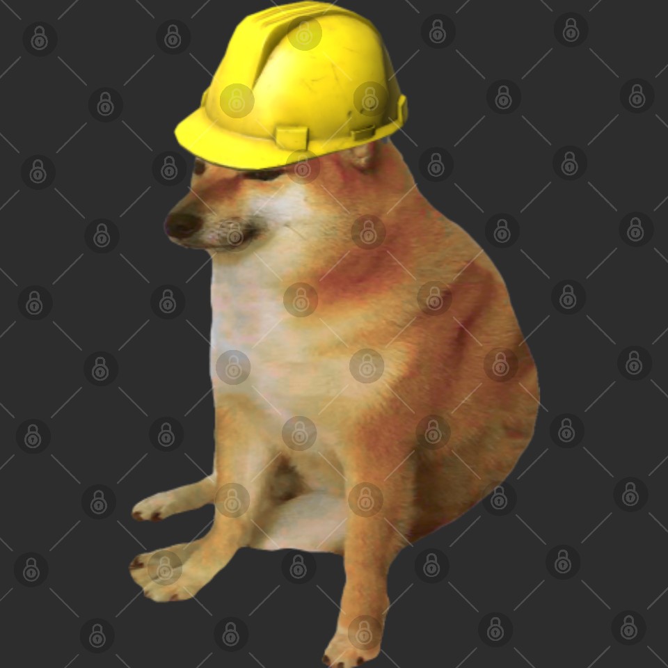 Image isn't working, imagine there is a funny picture here, please laugh